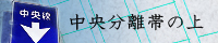 中央分離帯の上