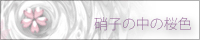 硝子の中の桜色